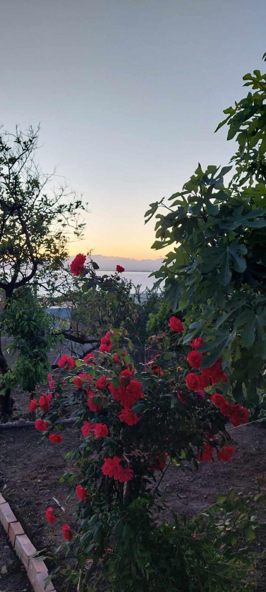 Panorama Studio Kalamata Eksteriør billede